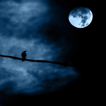 Noite Longa