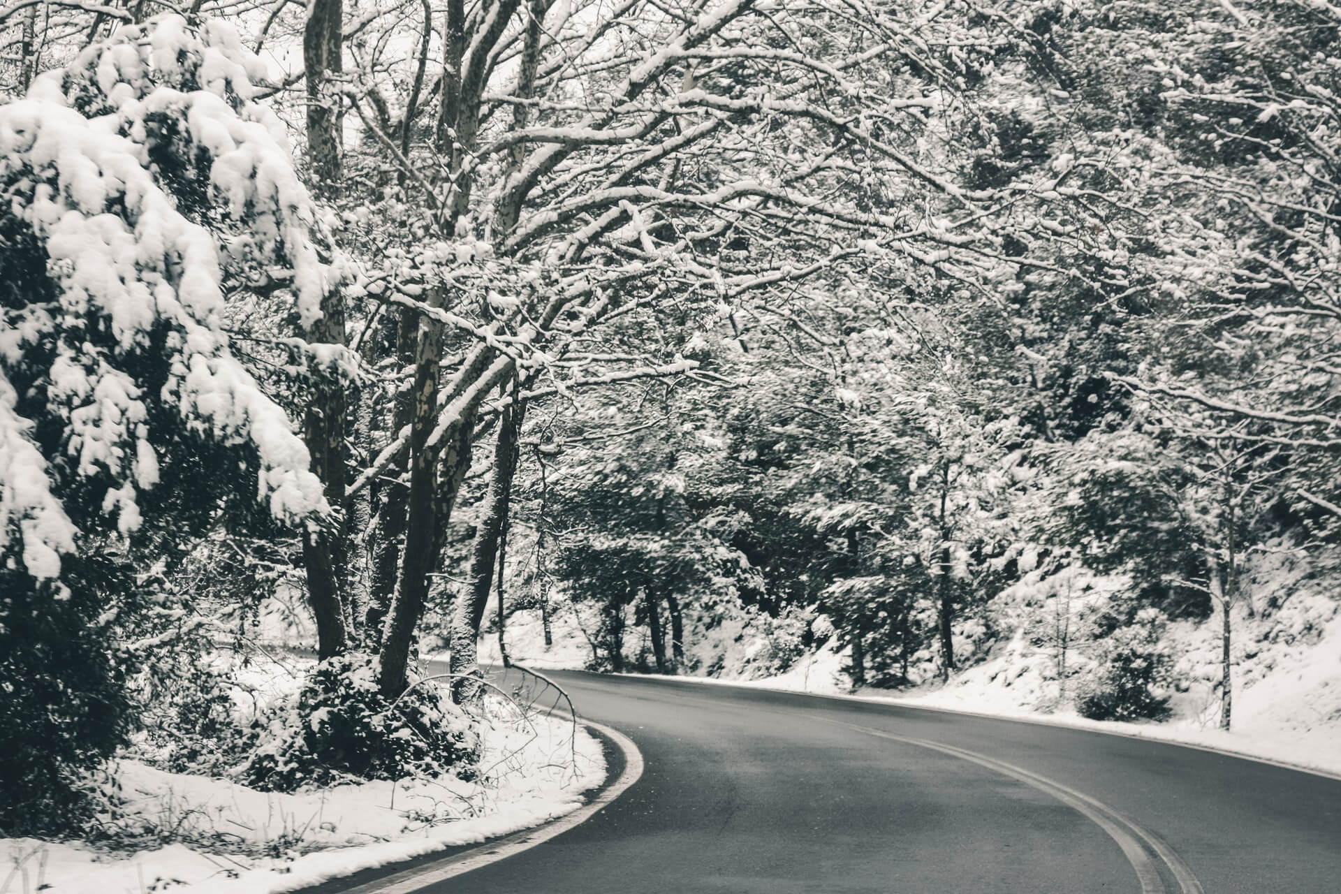 Foto de uma curva de estrada com árvores frondosas de ambos os lados, todas cobertas de neve