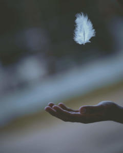Foto aproximada de uma mão estendida aguardando a queda de uma pluma branca, com fundo desfocado