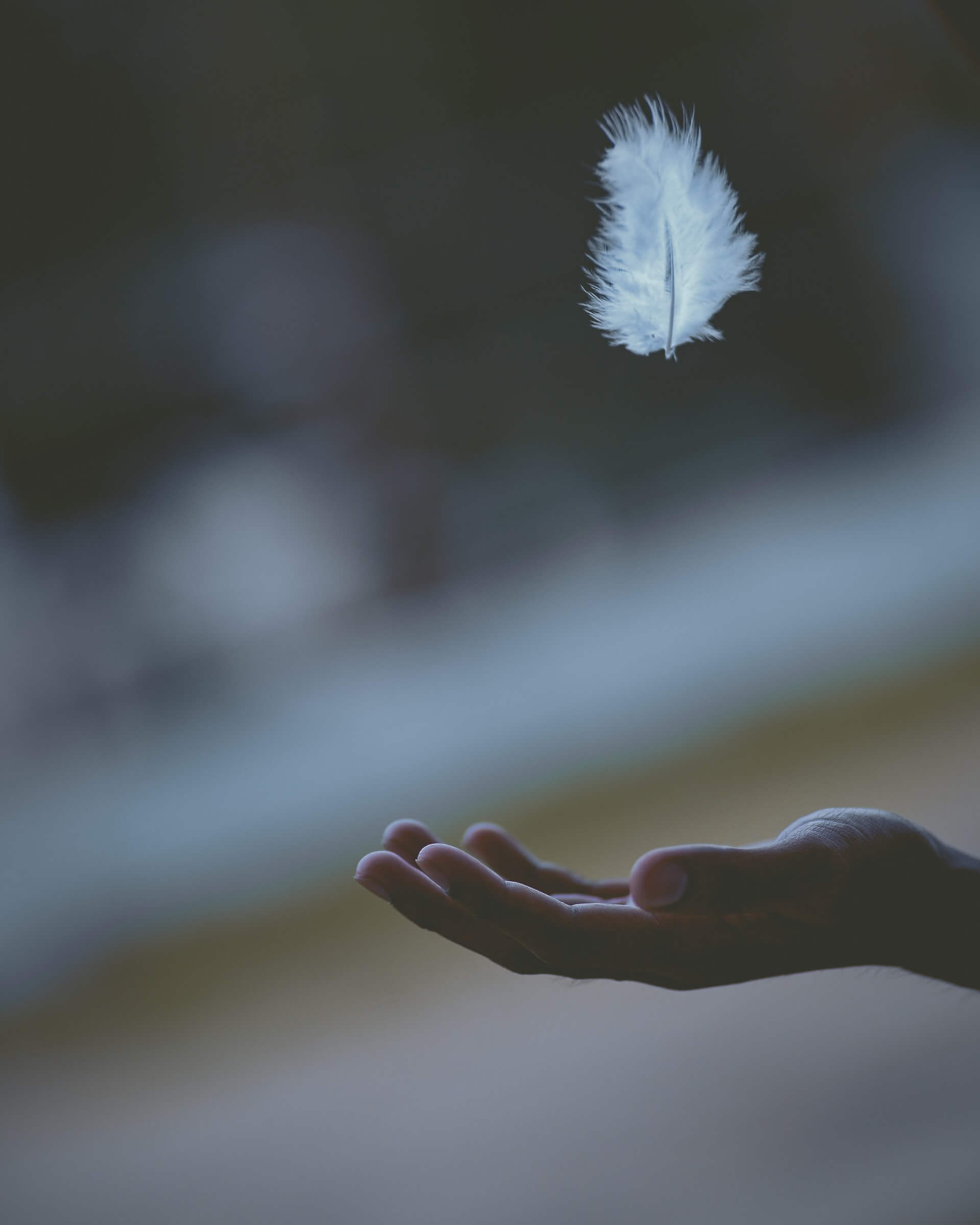 Foto aproximada de uma mão estendida aguardando a queda de uma pluma branca, com fundo desfocado