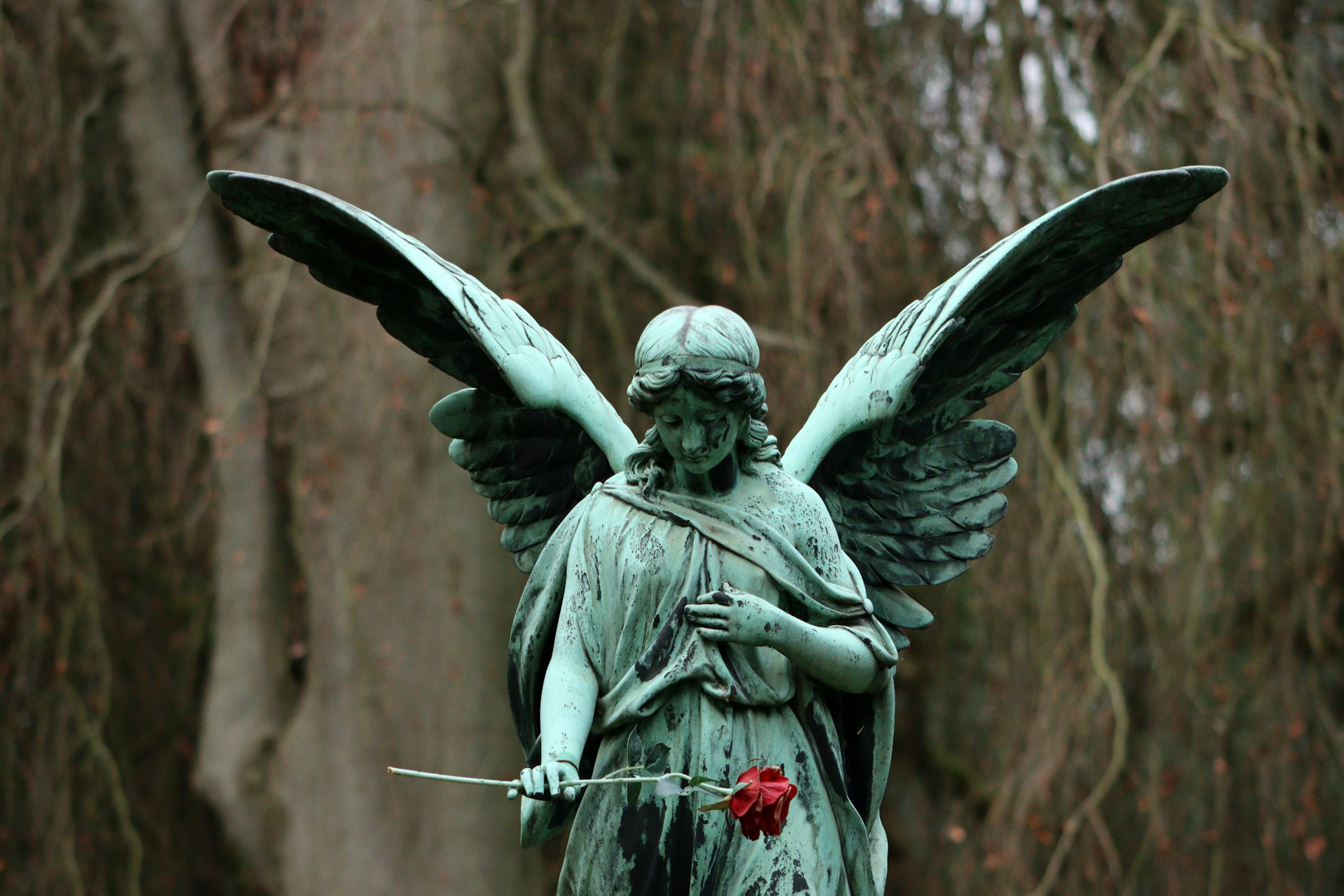 Foto da estátua esverdeada de um anjo segurando uma rosa