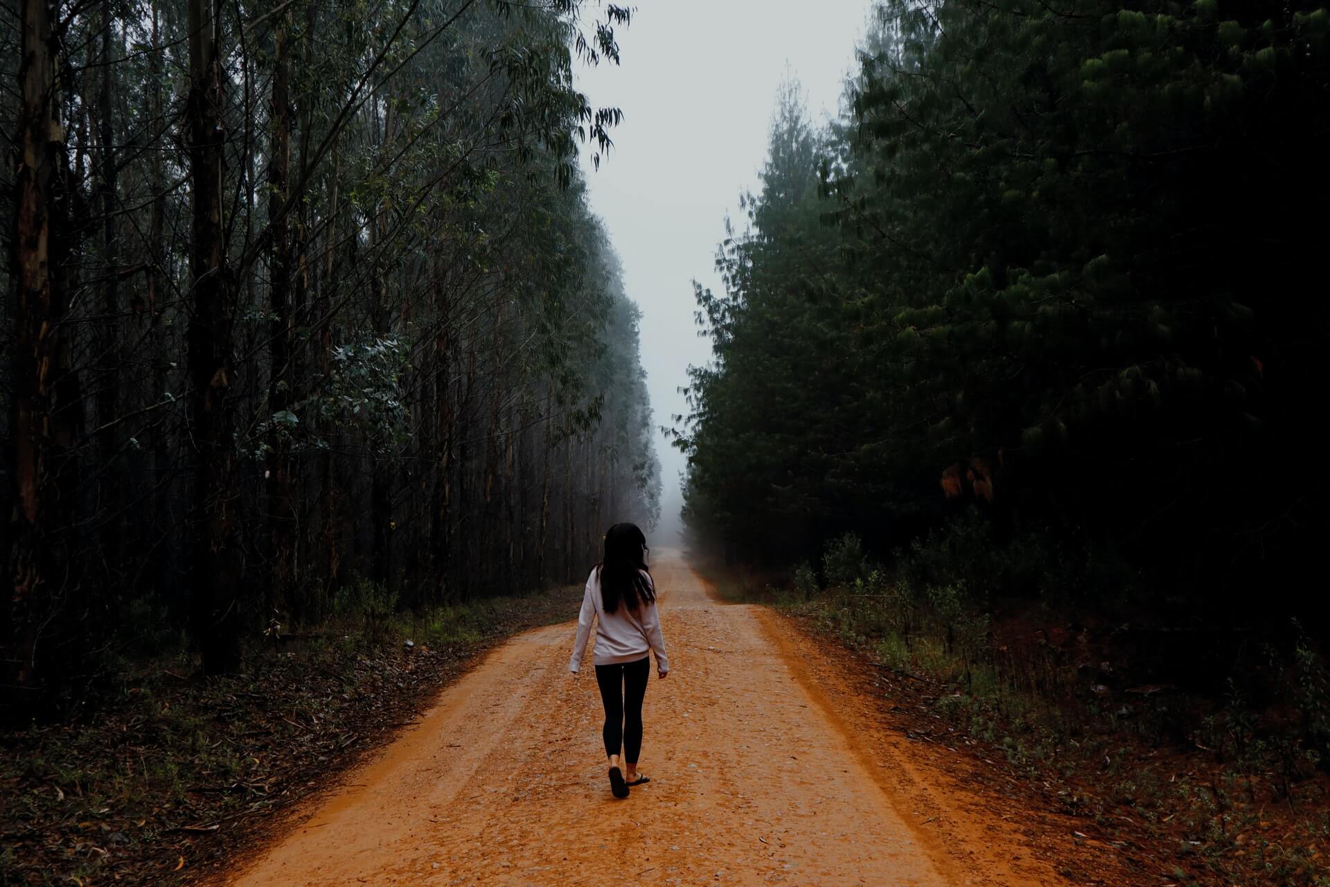 Foto de uma mulher caminhando por uma estrada de terra cercada de árvores abundantes em ambos os lados